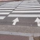 횡단보도 앞 이미지