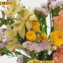 플로랄데이즈 이미지