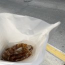 현주건어물 네이버블로그