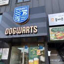 도그와트 | [인천 애견카페] 인천 문학동 애견운동장 추천! &#39;도그와트&#39; 방문 후기