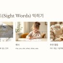 케이크플래닛(Cake Planet) 티스토리