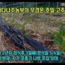 나주배유기 이미지