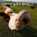 고속타이어 - 강진군 남당로 94 | 고속타이어
