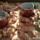 주용농장 이미지