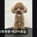 놀러왕왕왕 네이버블로그