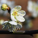 독립-18-02 이미지