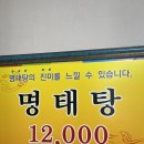 부산맛집 사상맛집 시원한 *육일원조명태탕 해장맛집