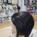 일신남성컷 이미지