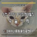 다나음동물병원 이미지