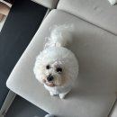 스테이 해옥 이미지