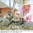 산골짜기 영농조합법인 이미지