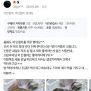 소담바리 쑥인절미 후기 요기에 모아 둘께요 5분께 참기름 드려요