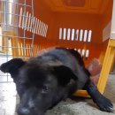 남산평기리 이미지