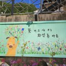중앙시장 티스토리
