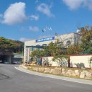 무릉도원면사무소 이미지