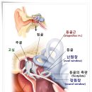 금강보청기 관악센터 이미지