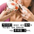 세컨브레스 이미지