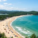 강원여객자동차㈜ | 2026 강릉 경포대 &amp; 안목해변 커피거리 가이드 | 연곡솔향기캠핑장 명당 + 초당순두부·장칼국수 미식 코스