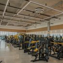 피트니스24 이미지