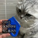 안면그릇 | 다이소 애견 안면빗 후기 고양이 턱드름 관리 꿀템 품번 58182 1천원