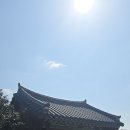 서천 마량리 동백나무 숲 이미지