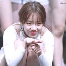 수화 이미지