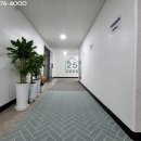 더스타리움 이미지