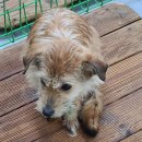 진명공업사 이미지