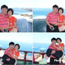 돌고래시장 이미지