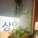 다온상담미술센터 | 천안 심리상담 미술치료와 병행하는 다온상담미술센터, 부부상담 8개월차 진솔한 후기