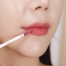 가을메이크업엔 디어달리아 음영 쉬운 아이섀도우 &amp; 틴트 추천
