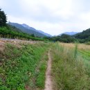 대삼경로당 | 8/30-31 대야산(괴산)