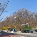 쭈쭈 아이스크림할인점