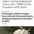 인도에서 코뿔소 개체수를 조절하는 방법 이미지