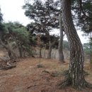 석산마을회관 이미지