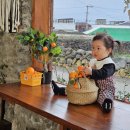 진관초등 | 제주도사진관 제주도가족스냅 최고 루모제주사진관 가격 보정본 정보