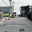 코스 드라이브하기 좋은 을왕리해수욕장 내돈내산 조개구이 맛집 태종대회조개구이 불꽃놀이도 가능해요