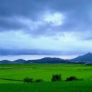 단23(Dan23) 이미지