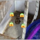 개구리자동차공업사 이미지