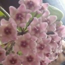 준스헤어 이미지