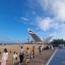 낭만맥주 - 중랑구 용마산로 405 | 여름 밤의 낭만, 칭다오 맥주축제 후기 또 가고 싶은 이유(+화장실정보)