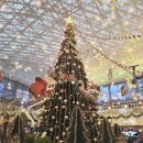 삼성도서관 | [강남/삼성] 스타필드 코엑스 별마당 도서관 크리스마스 트리 위치/포토존 방문 후기