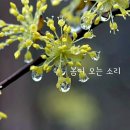 열두달달 이미지