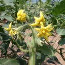 영대농장 이미지