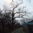 세심촌가 이미지