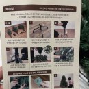 하늘아래둘째집 | 냄새없는 트리, 가성비 최고 루시아이 크리스마스트리 내돈내산 후기