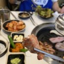 더고기다움 이미지