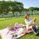 하단동1209 이미지