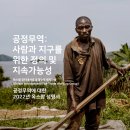 FX KOREA 페이스북 카카오 검색결과