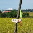 신대2리 이미지